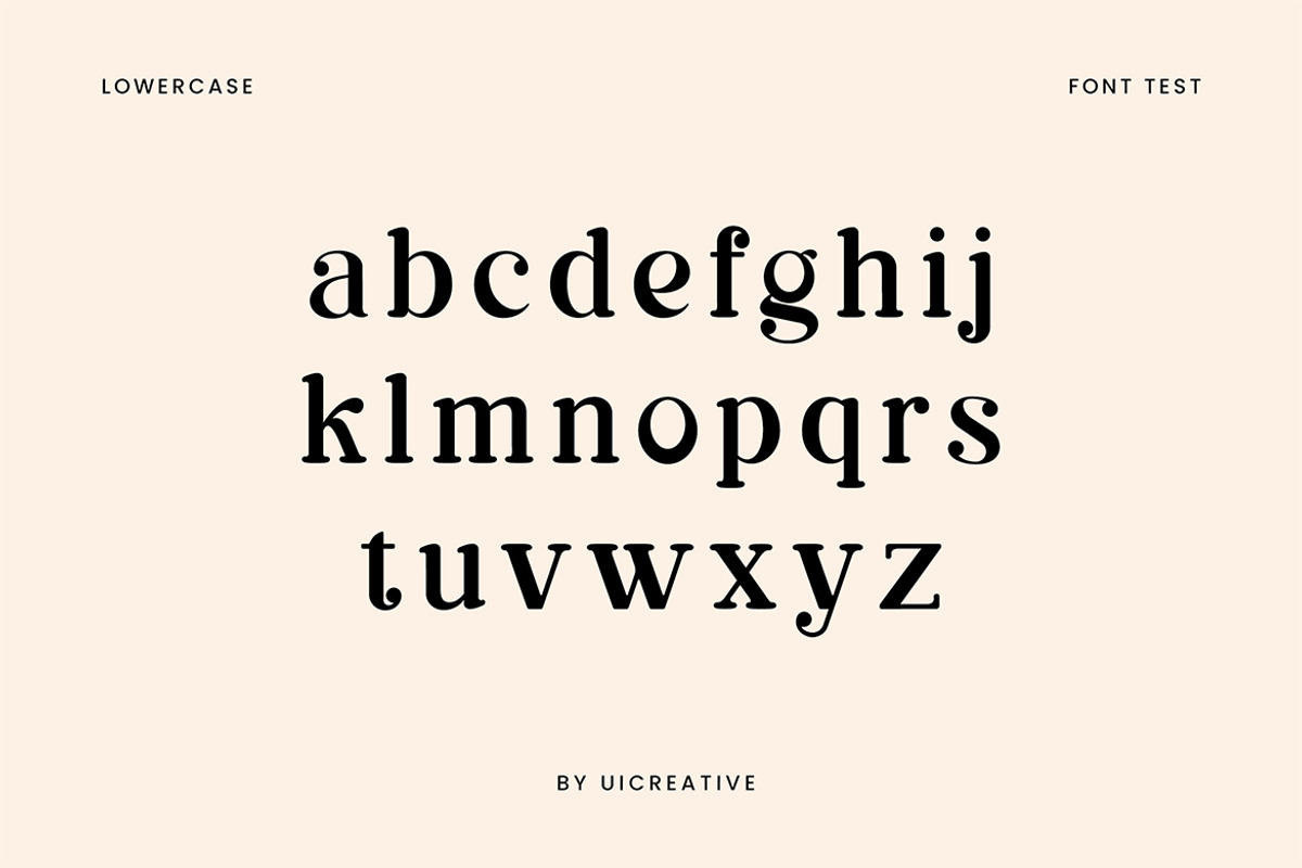 Delonizer Display Serif Font | Creative Market