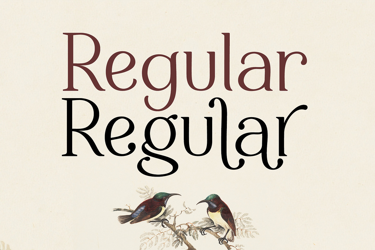 Caesur, a Serif Font by Sulthan Studio (Photo 5 of 7)