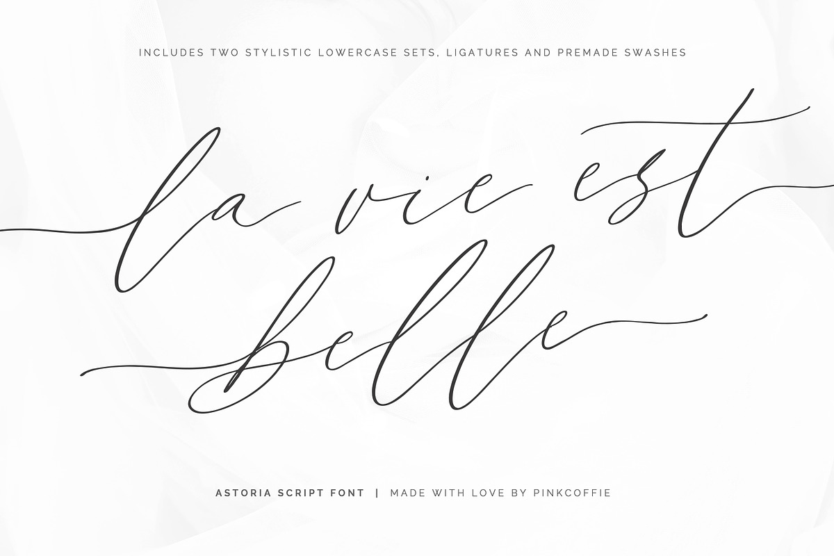 Astoria | Modern Calligraphy Script, a Script Font by Pink Coffie (Photo 9 of 20)