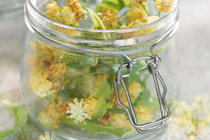 Linden blossoms filling glass jar for herbal medicine, a Nature Photo by Olena Rudo