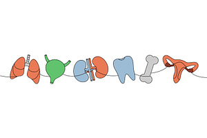 Set of human organ one line colored, an Object Illustration by GraphiShop