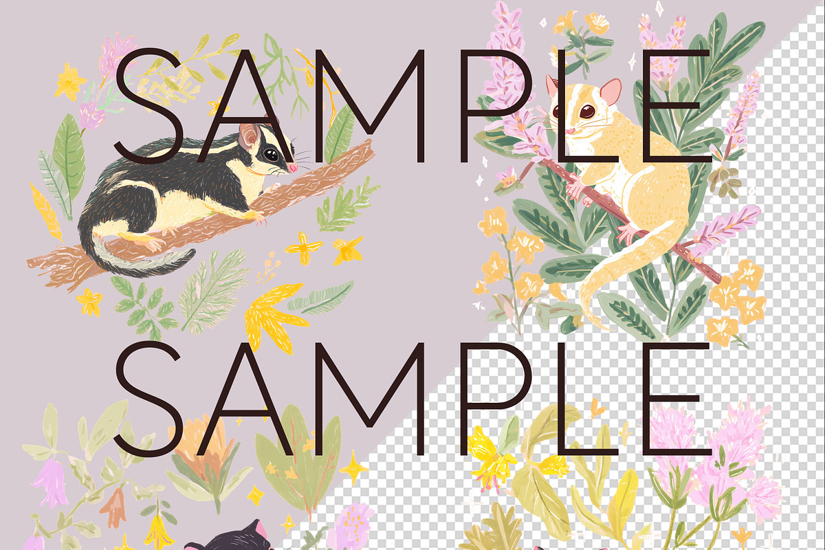Pastel Australian Animal Clipart, an Animal Illustration by Pawcasso's Portraits (Photo 4 of 6)