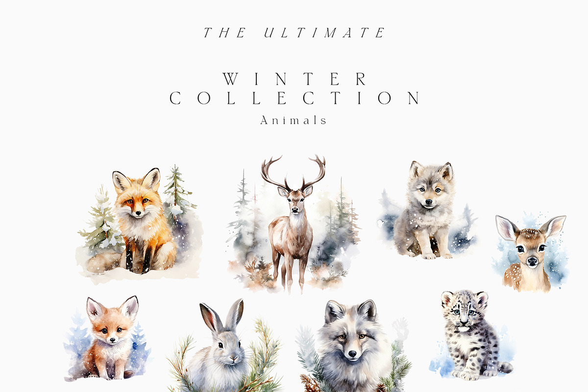 Winter & Christmas Watercolor, a Decorative Illustration by Lana Elanor (Photo 8 of 11)