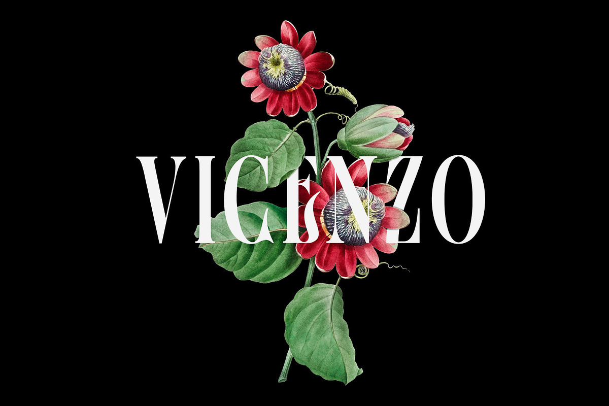 The Casanova (clean & rough), a Blackletter Font by HTLNS.co (Photo 2 of 5)