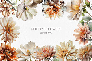 Neutral Flower Watercolor Clipart