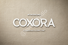 Coxora - Luxury Modern Serif Font Du