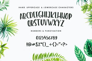 Amastery Font DUO And Extras