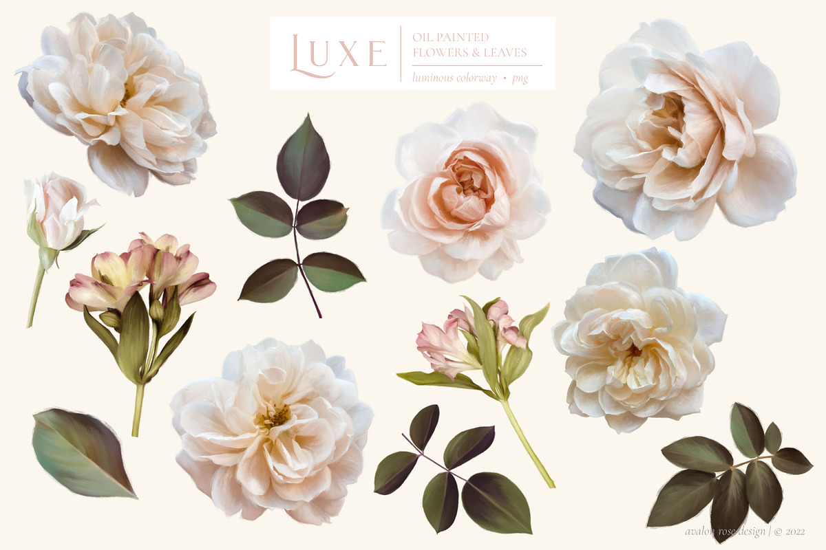 Luxe Oil Paint Floral Graphics, an Illustration by Eclectic Anthology (Photo 5 of 17)