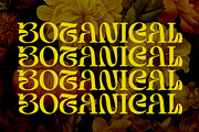 Struick Display Serif, a Serif Font by Violet Natural (Thumbnail 7 of 10)