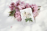 Spring Sakura mockups set, a Merchandise Mockup by Tabita's shop (Thumbnail 3 of 9)