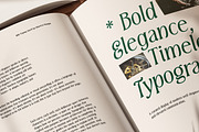 MN Triplay - Elegant Display Serif, a Serif Font by Mantra Naga (Thumbnail 14 of 15)