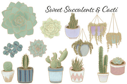 Sweet Succulents & Cacti