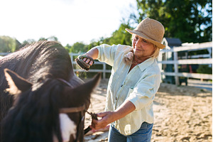 Older woman taking care of horse on, a Person Photo by HalfPoint
