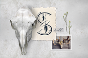 Totem. Mystical Font. Line Art Style, a Script Font by Cosmic Store (Thumbnail 24 of 35)