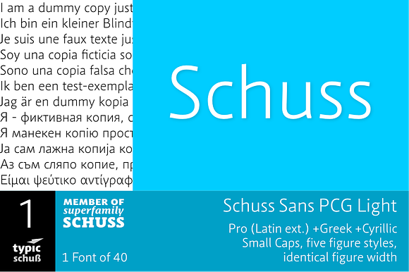 SchussSansPCGLight No.01 (1 Font) preview 6
