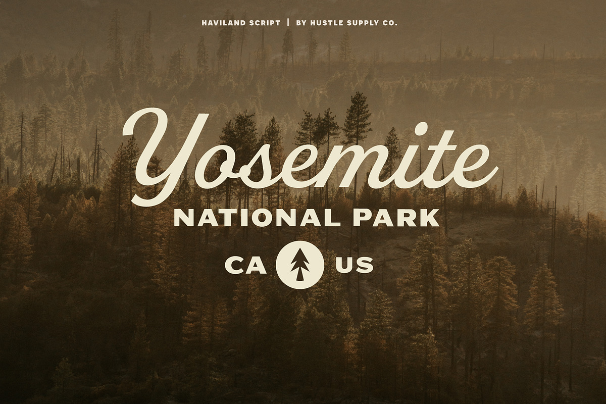 Haviland Script, a Script Font by Hustle Supply Co. (Photo 8 of 10)