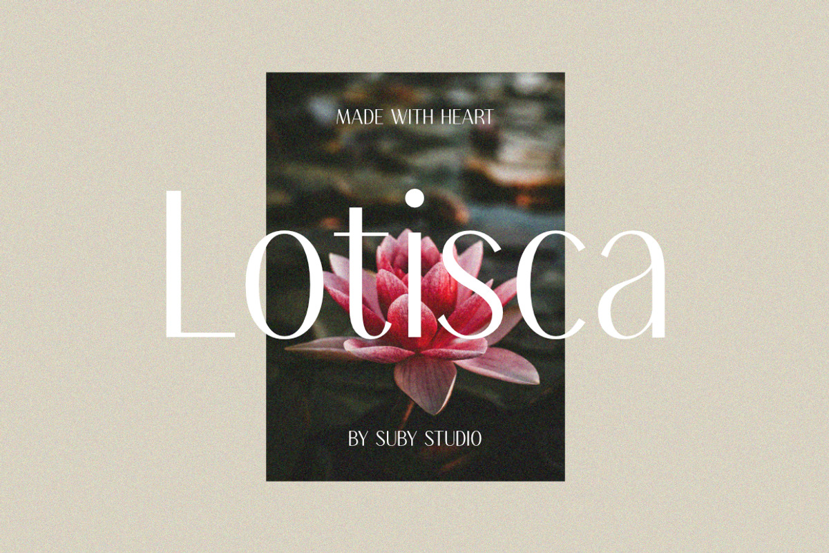 Alkira Elegant Typeface, a Sans Serif Font by Suby Studio (Photo 8 of 8)