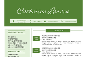 Pure MS Word Modern Resume