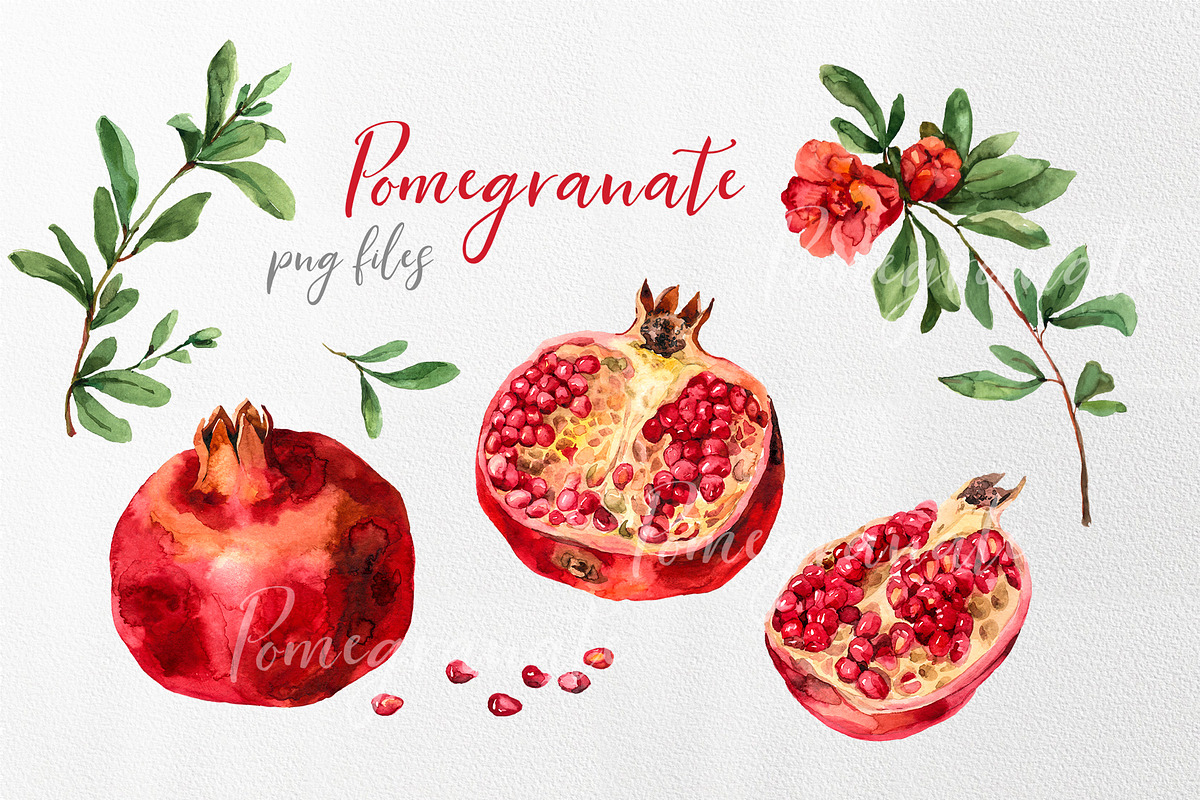Pomegranate, ceramic tile watercolor, an Illustration by Alamella (Photo 7 of 7)
