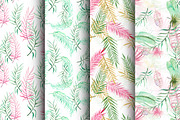 Palm leaves collection, a Decorative Illustration by IvanFet (Thumbnail 5 of 6)