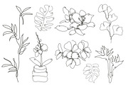 71 Flowers Continuous Line Set, a Decorative Illustration by Sunset&Sea Design (Thumbnail 7 of 8)