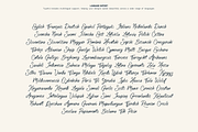 Typeful - Handwritten Script Font, a Script Font by Only Fonts (Thumbnail 12 of 16)