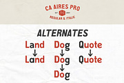 CA Aires Pro, a Sans Serif Font by Cape Arcona Type Foundry (Thumbnail 5 of 7)