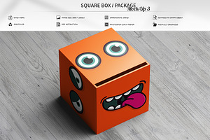 Square Box / Package Mock-Up 3