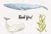 Watercolor Whales Graphics, an Illustration by Kileen Nicole Art (Thumbnail 5 of 5)