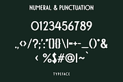 Charvine - A Modern Display Font, a Handwritten Font by Marvadesign (Thumbnail 5 of 5)
