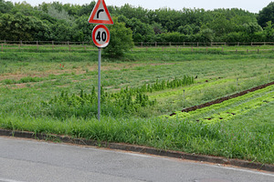 bend to right and speed limit sign, a Photo by WorldOfPhotos