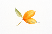 Orange Flower and Leaf Watercolor, a Decorative Illustration by New-School-Wave (Thumbnail 3 of 5)