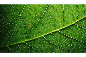 eco organic green background ai, a Nature Photo by pikepicture