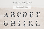 Adenium Font + Gold & Rose Gold Foil, a Sans Serif Font by Graphicfresh (Thumbnail 6 of 8)