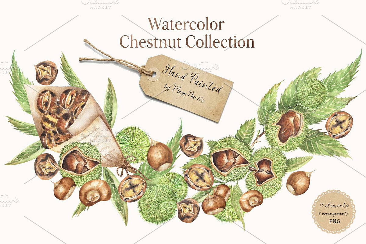 Watercolor Chestnut Set, a Food Illustration by MayaNavits (Photo 7 of 7)