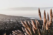 The Wall Lightroom Preset, a Preset Add-On by Lightroom Presets (Thumbnail 4 of 4)