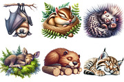 Sleeping Forest Animals Watercolor, an Illustration by Watercolor design (Thumbnail 4 of 4)