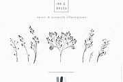 Ink botanicals, logos & patterns, a Texture Illustration by Lisa Glanz (Thumbnail 9 of 32)