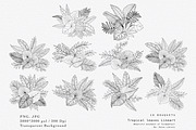 “Charm” Tropical Leaves Lineart, an Illustration by Sense Library (Thumbnail 6 of 23)