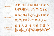 Mobigail - Modern Retro Stylish, a Serif Font by Qweera Studio (Thumbnail 12 of 12)