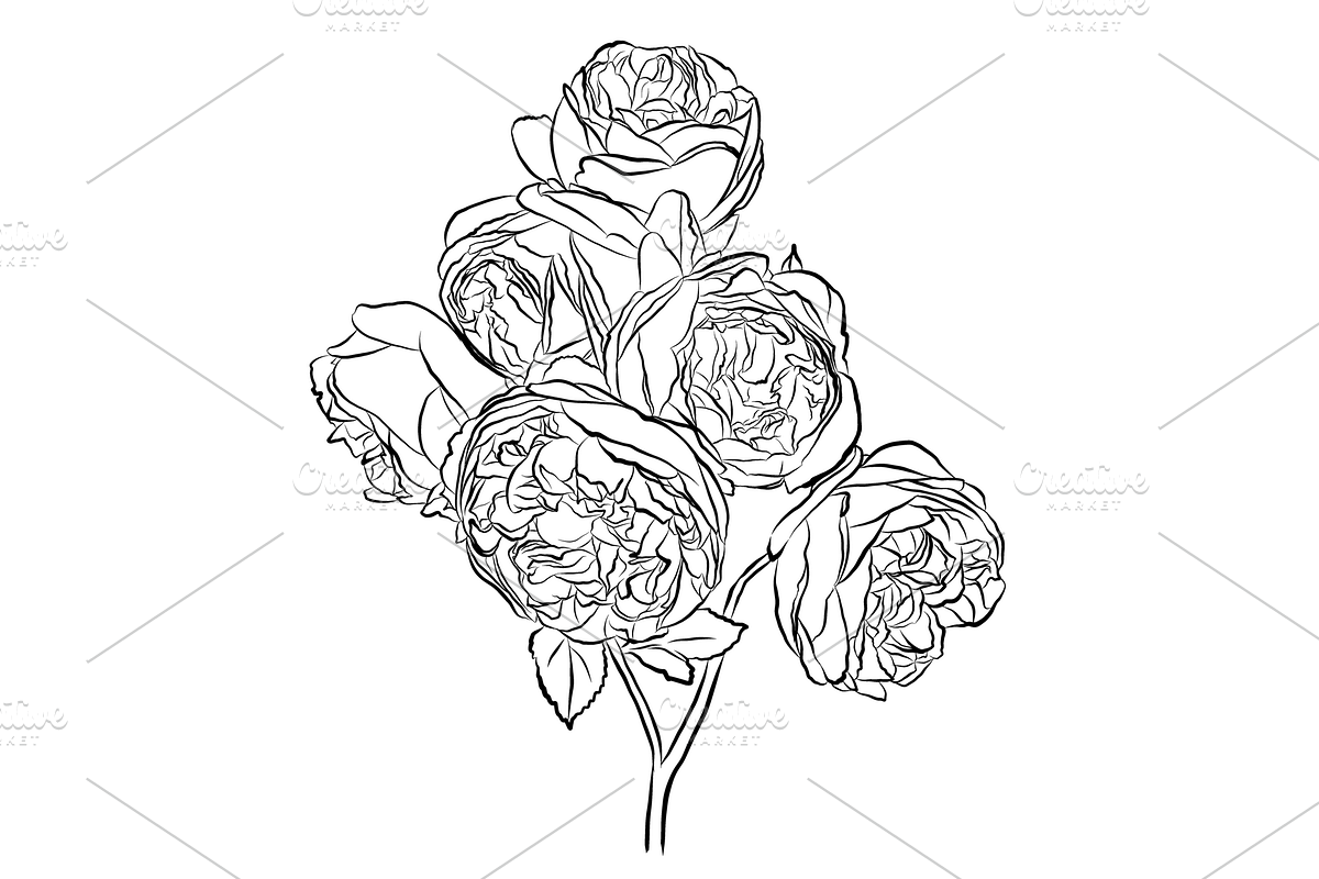 Outlined Rose Bouquets, an Object Graphic by VictoriaKStudio (Photo 2 of 4)