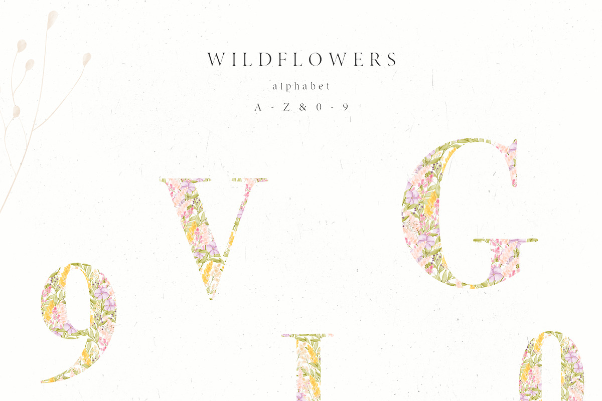 Wildflowers, an Illustration by Blossom (Photo 9 of 9)