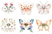 Botanical Floral Luna Moth, an Illustration by CitraGraphics (Thumbnail 4 of 5)