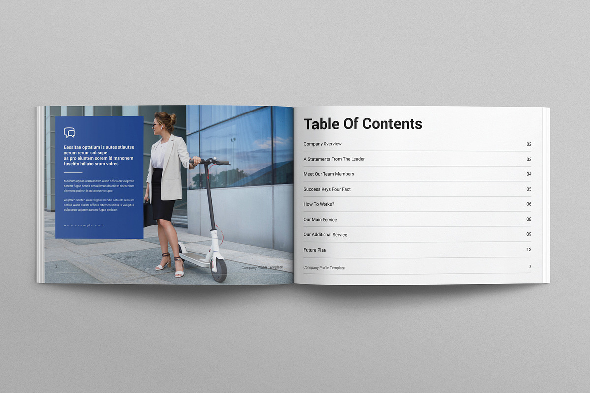 Company Profile Template Landscape, a Brochure Template by E-Type (Photo 2 of 7)