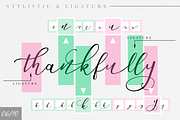 Endita Handwritten Font and Extras, a Script Font by endita (Thumbnail 12 of 12)