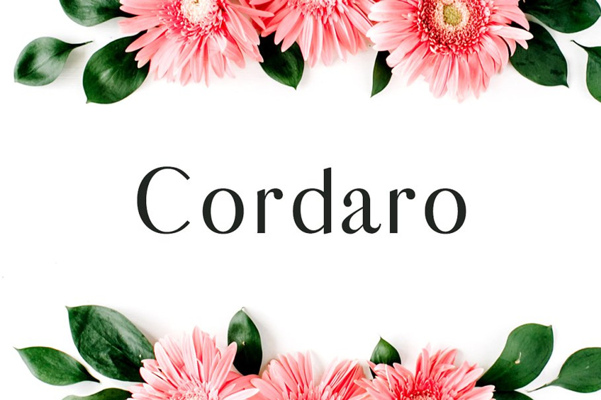 Designer's Type - Sans Serif Bundle!, a Sans Serif Font by Creativetacos (Photo 27 of 36)