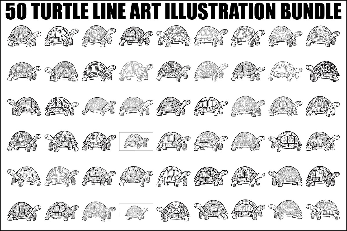 Turtle Line Art Illustration Bundle, an Illustration by Creativeshirt (Photo 1 of 48)