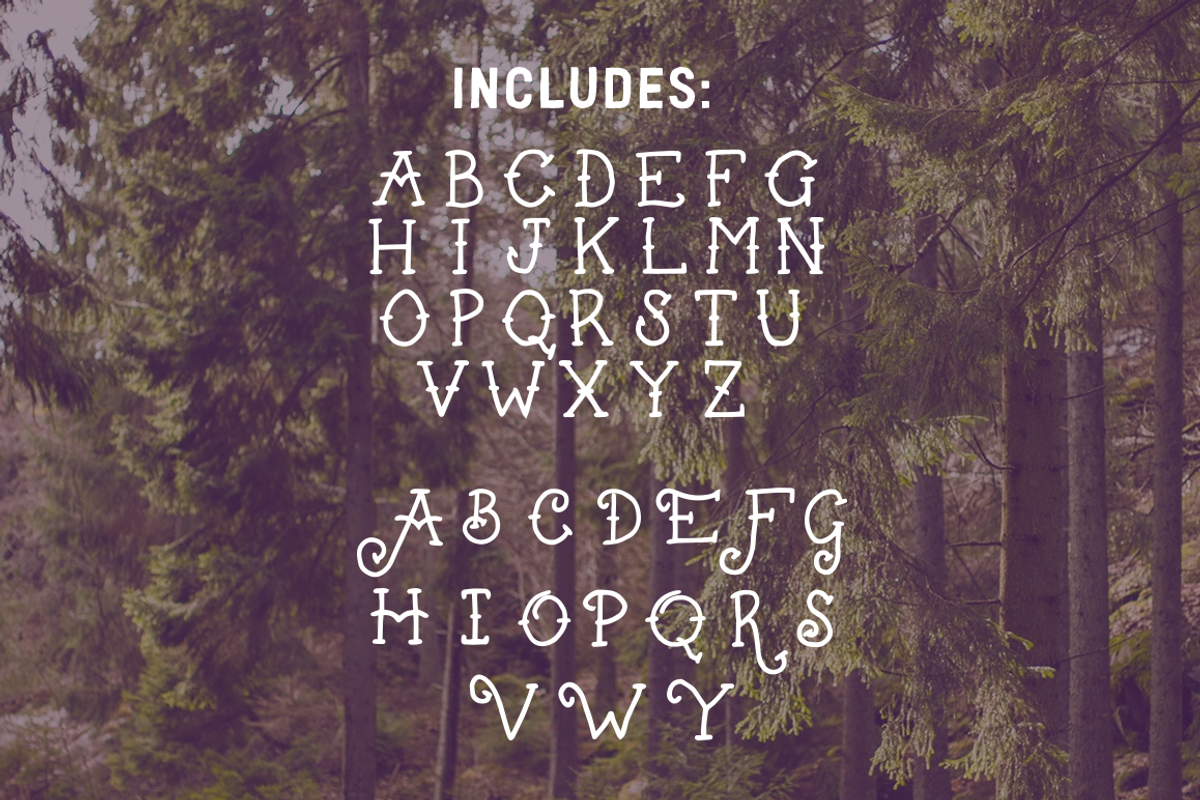 Bellfield - Tattoo Typeface (INTRO), a Font by Mark Richardson (Photo 3 of 3)