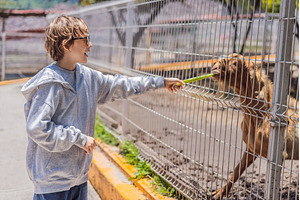Young boy feeding a goat on a farm, an Animal Photo by Elizaveta Galitskaya