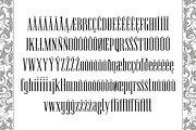 Virgo Antique Display, a Serif Font by Vintage Type Company (Thumbnail 6 of 15)